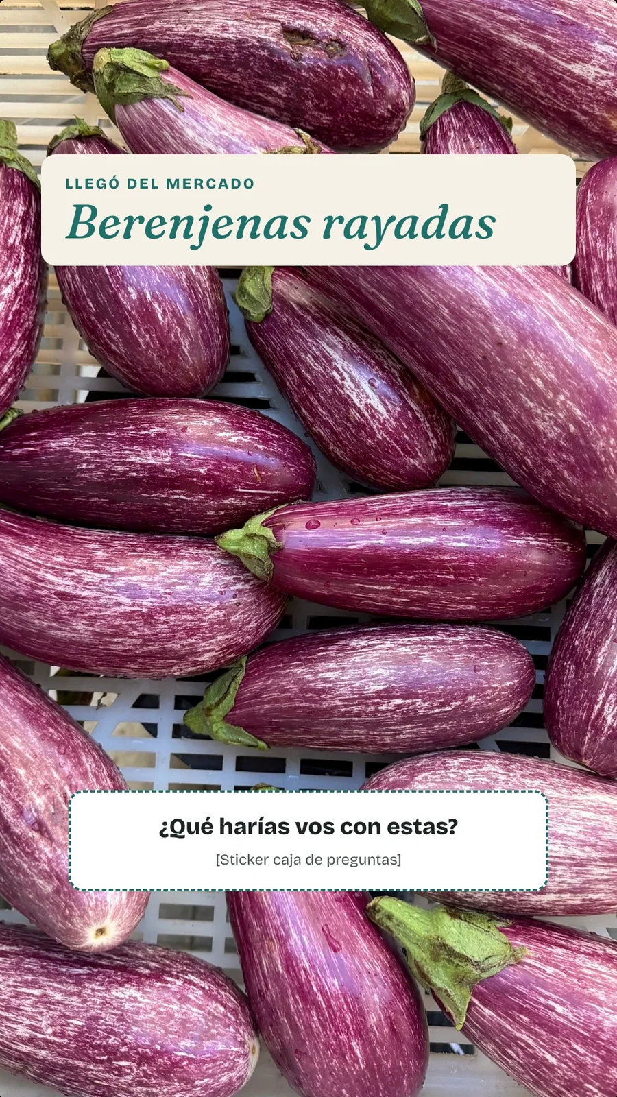 Fiore · Viandas Fiore — pieza FI-14